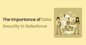 The Importance of Data Security in Salesforce